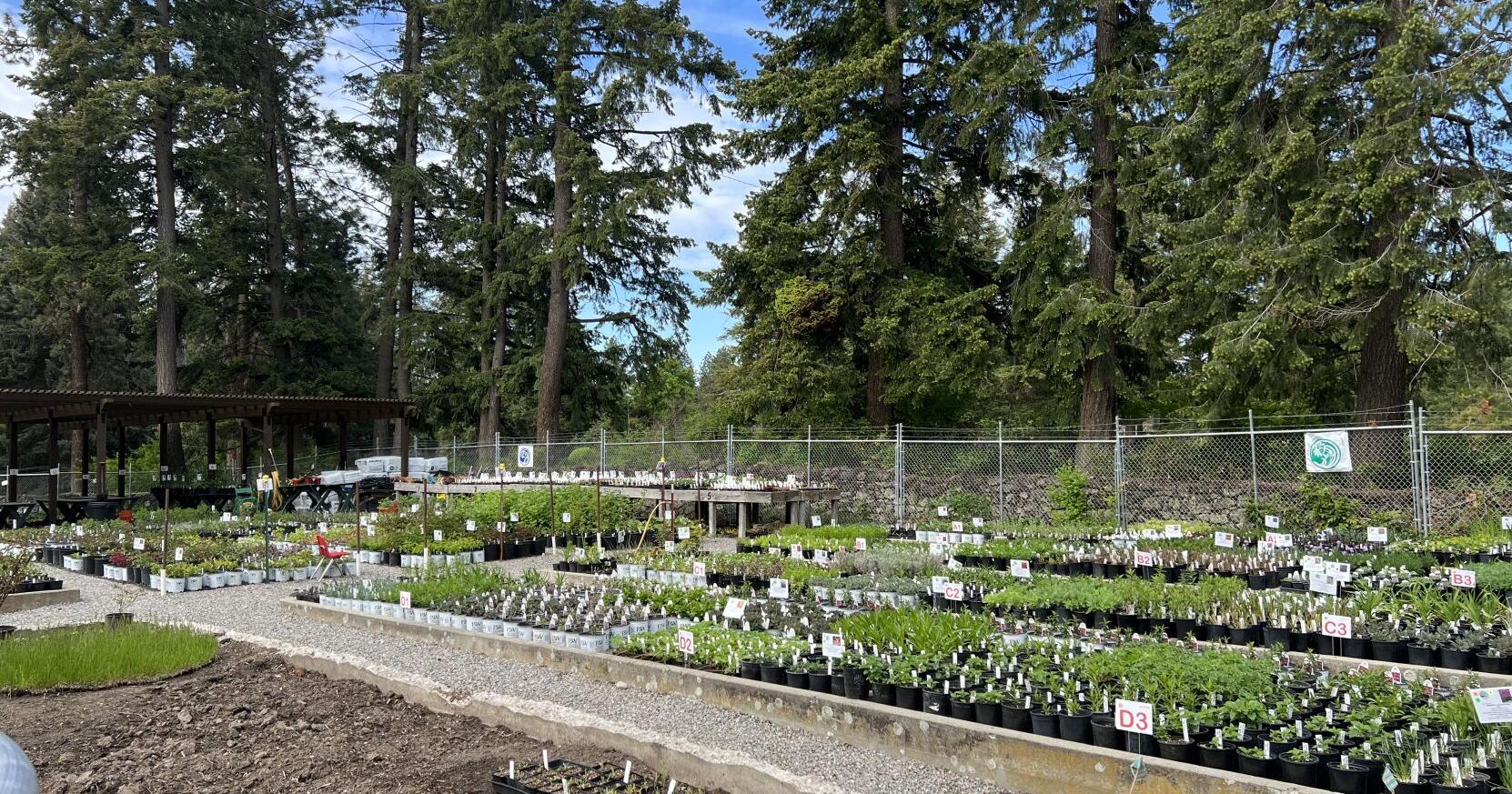 Manito Park hosting Spring Plant Sale this weekend - Vimarsana News