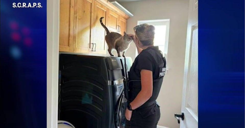 SCRAPS launches feeding program for pets in Spokane fires evacuation zones