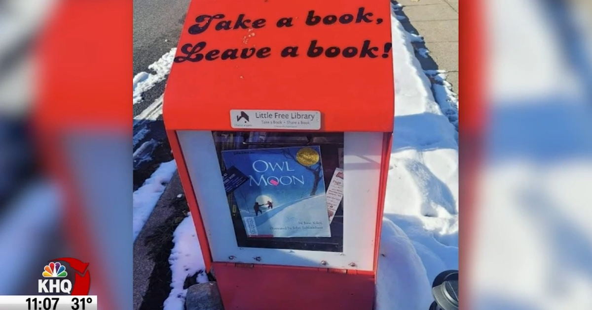 'Who steals from kids' – security camera catches little free library ...