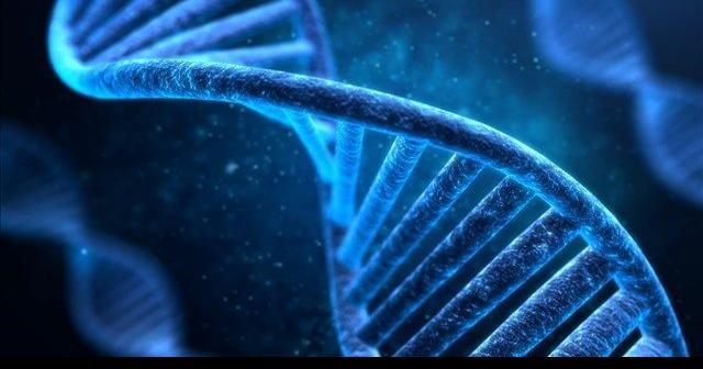Sydney Brenner, biologist who helped decipher genetic code, dies