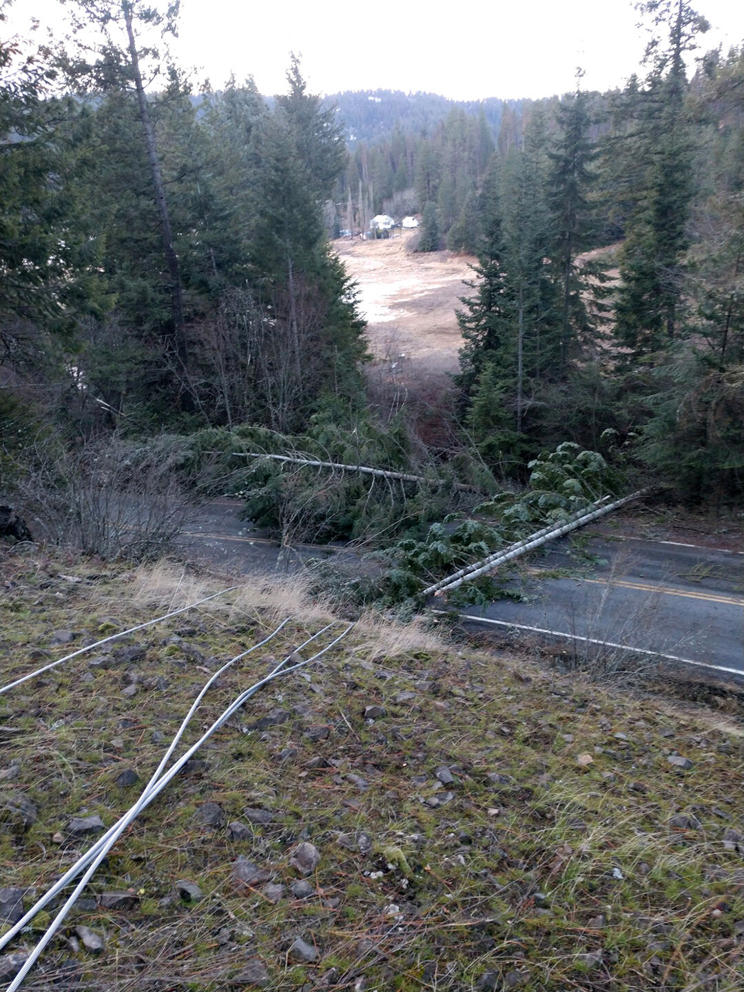 kootenai-electric-facing-44-separate-outages-11-crews-working-to