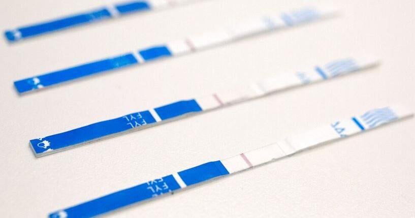 ‘Life-saving tool’: Idaho legalizes fentanyl test strips in effort to reduce overdose deaths ‘Life-saving tool’: Idaho legalizes fentanyl test strips in effort to reduce overdose deaths