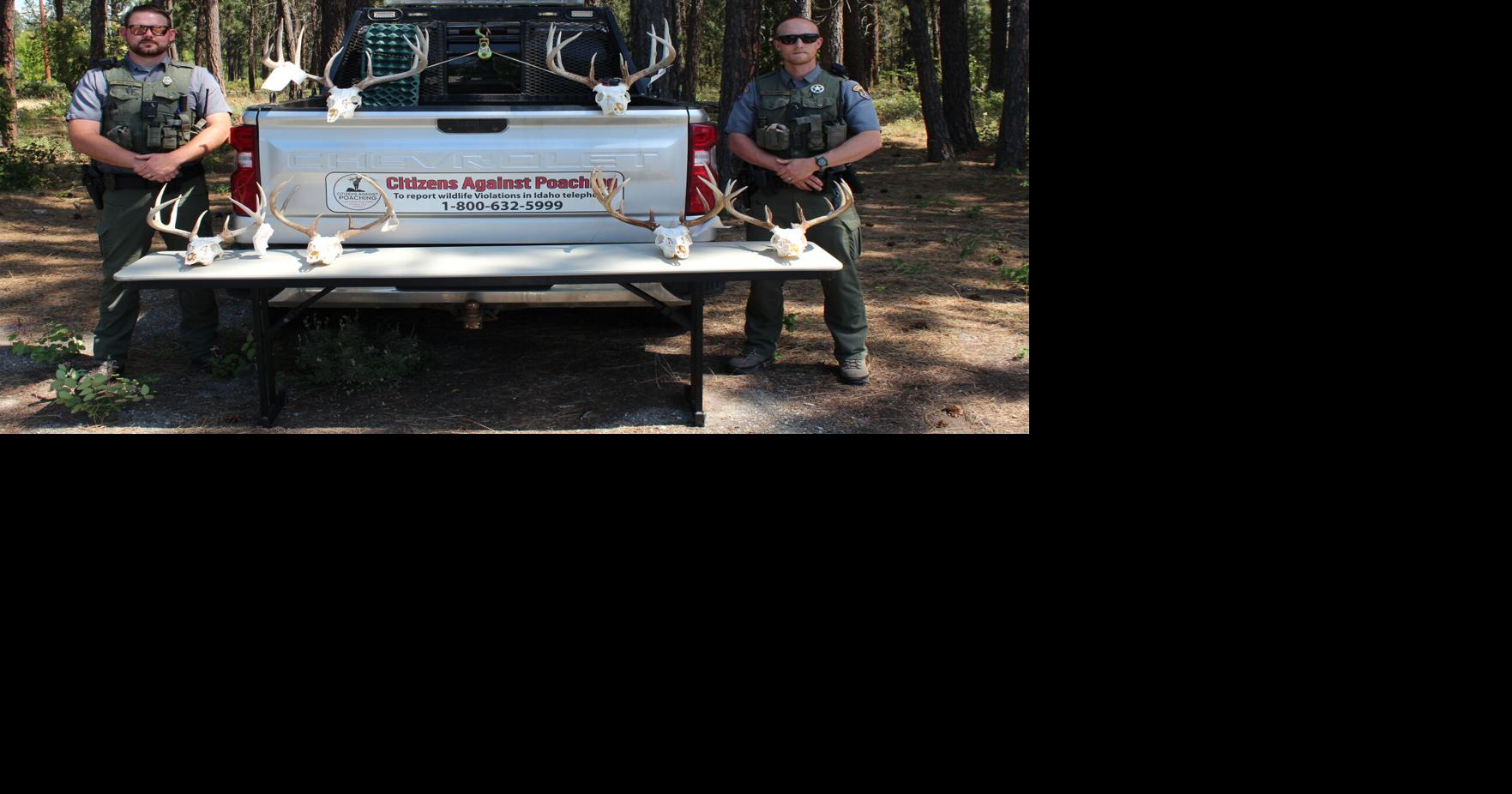 St. Maries man sentenced for poaching 7 trophy white-tailed deer in Idaho Panhandle