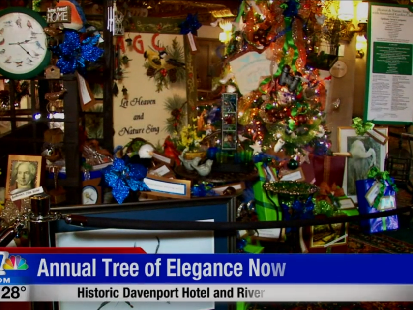 Christmas Tree Elegance Is Back For The Holiday Season Holiday Lights Khq Com