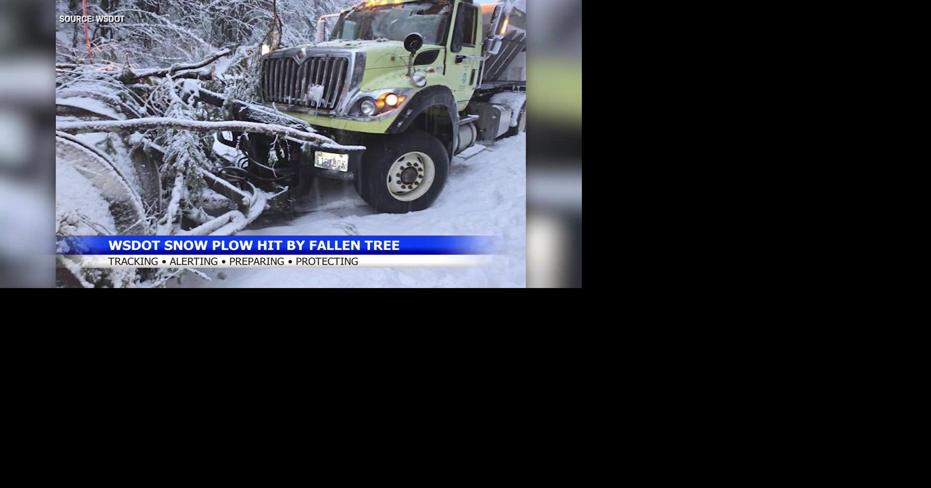Snow plow driver unharmed after tree hits plow on Highway 2 | Spokane ...