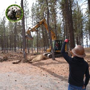 Resources Allocated to Improve Security in Spokane Border Patrol Sector