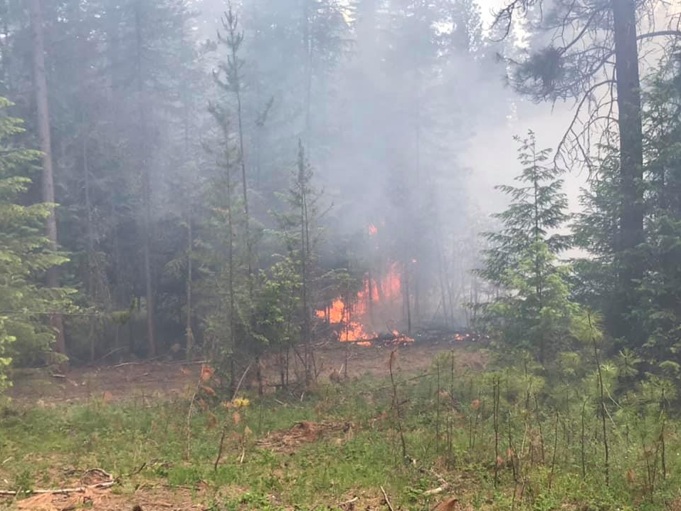 Multiple North Idaho crews extinguish 2 acre wildfire near Bonners