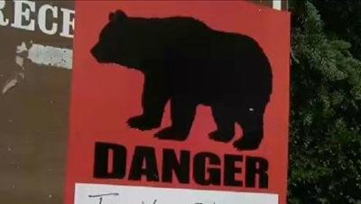 Bear suspected in missing Alaska hiker's death