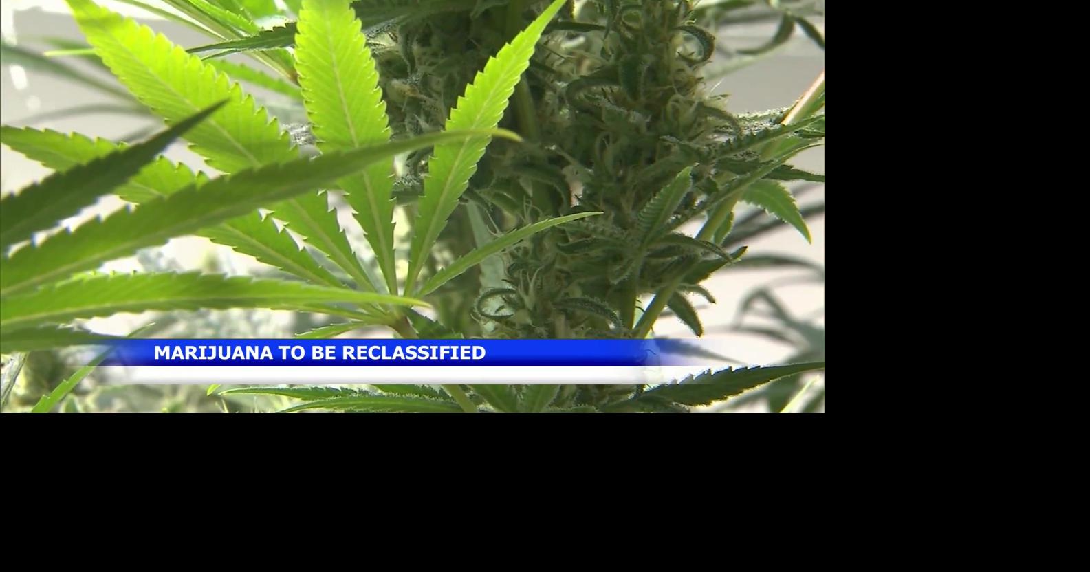 Idaho Attorney General opposes marijuana reclassification order