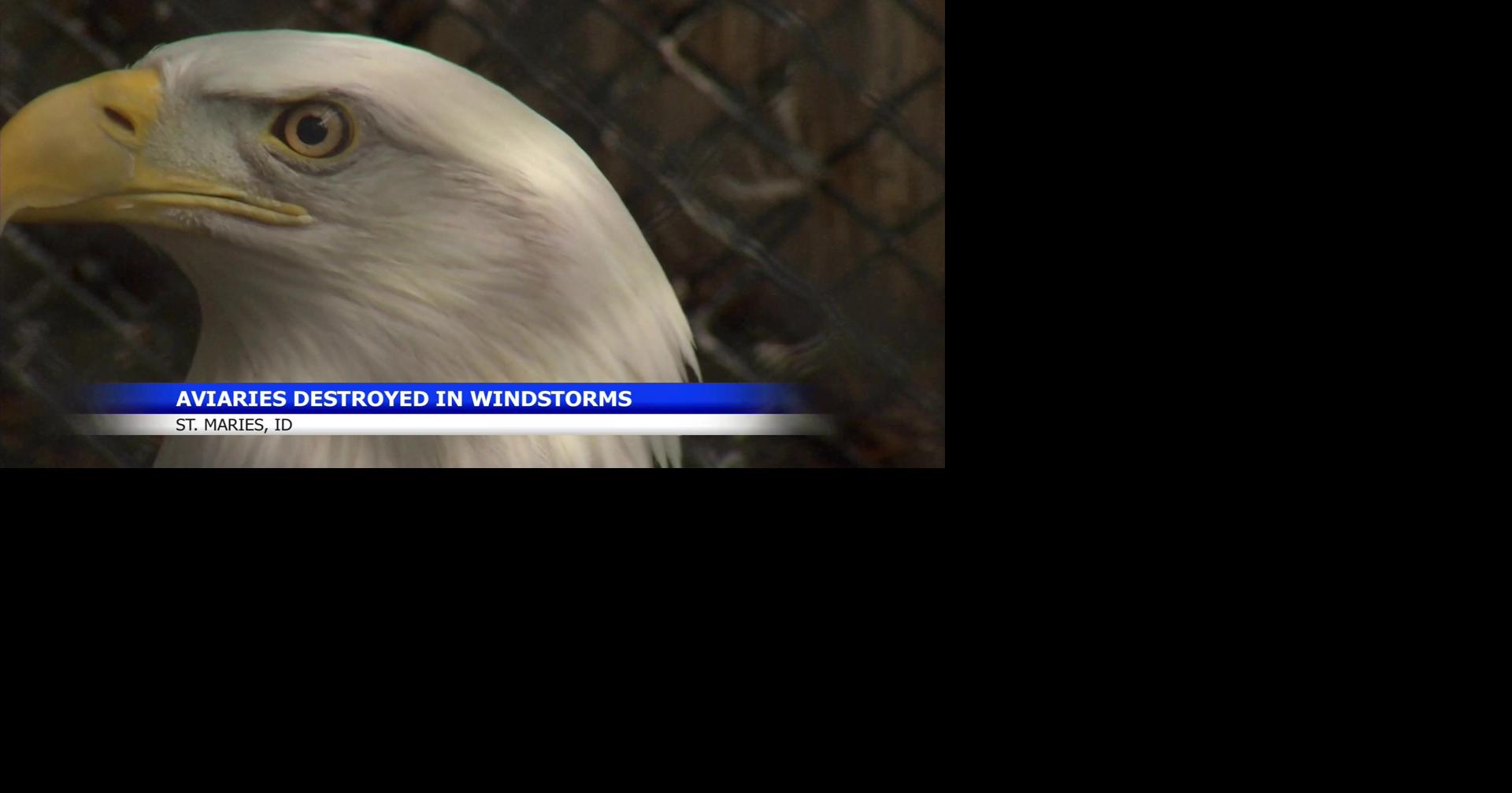 Idaho's Birds of Prey faces rebuilding following windstorm