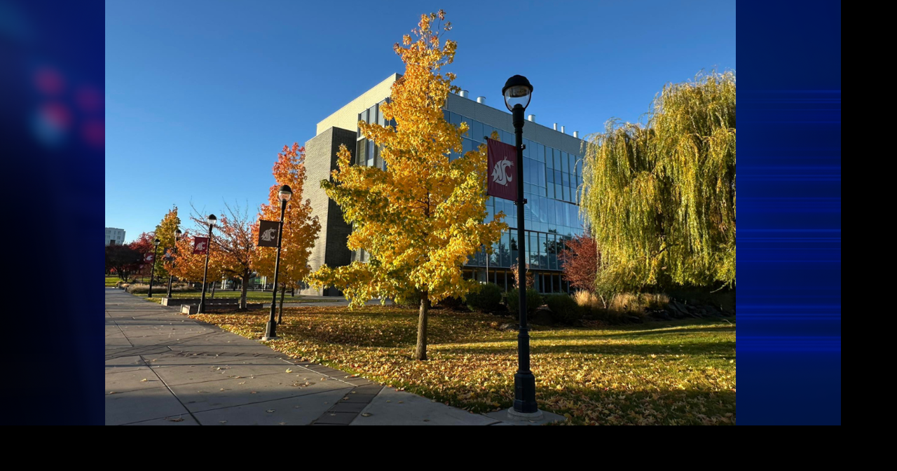 WSU announces new initiative to strengthen workforce in nuclear energy sector