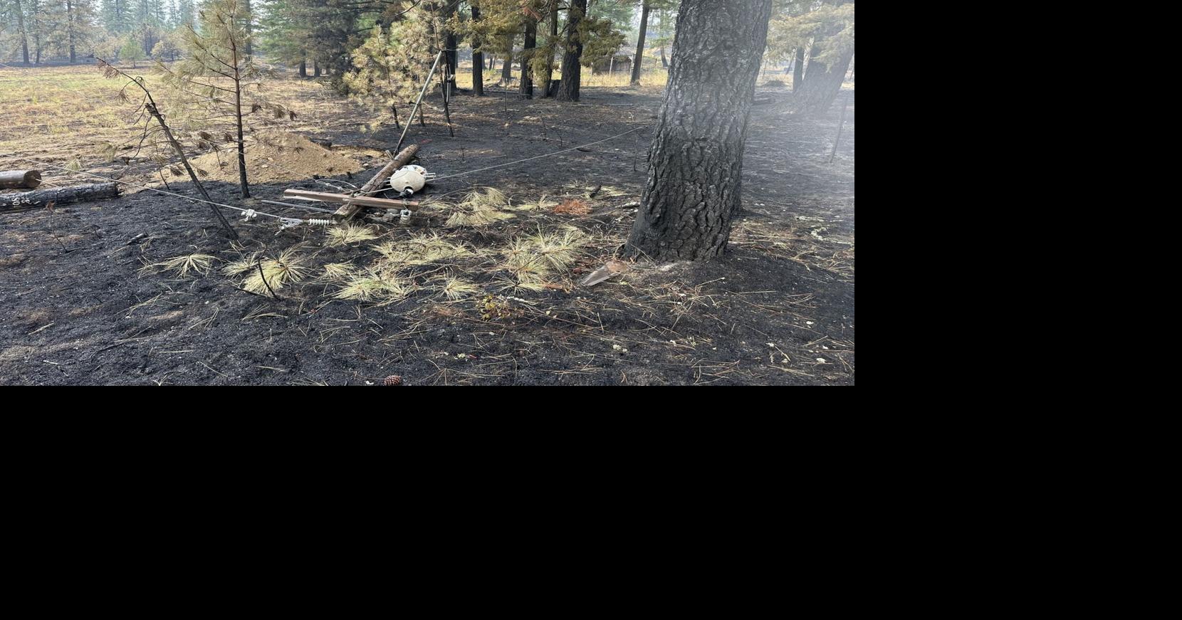 Oregon Road Fire now 49 contained, evacuations lowered to Level 1 or lifted Wildfires