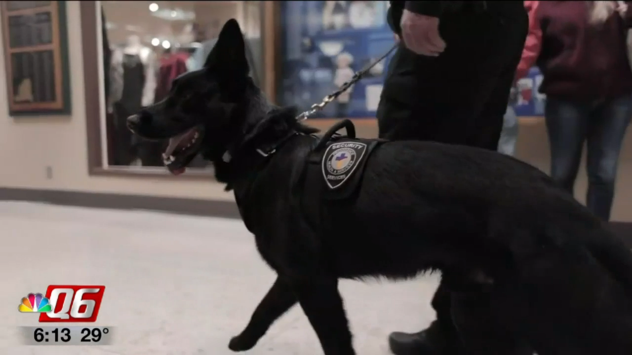 First K9 program at any hospital in Washington unveiled in Spokane