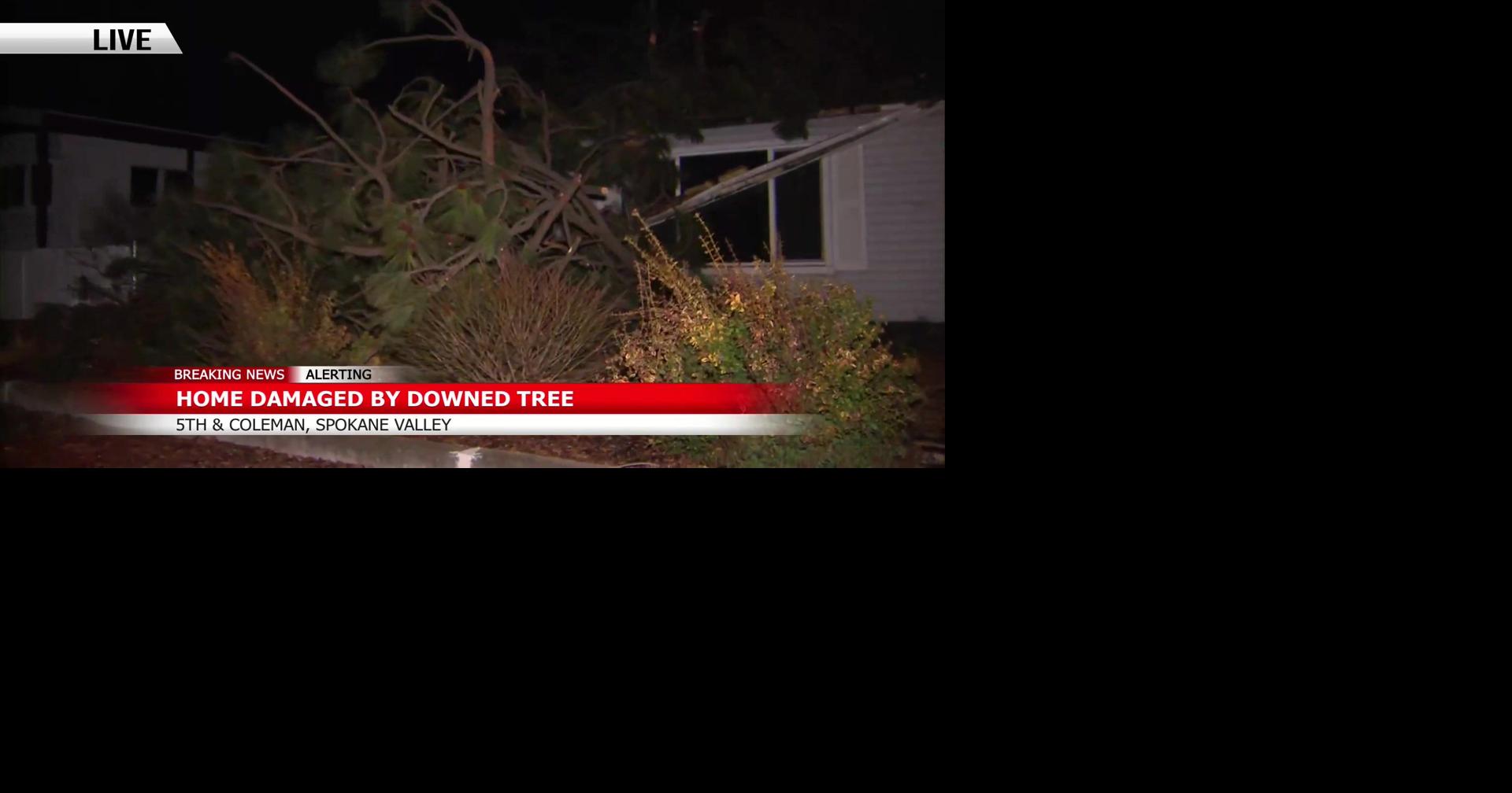 Property damaged by trees | Spokane News | khq.com