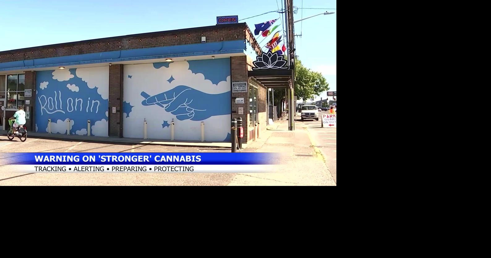 State officials urge caution for World Cup visitors using cannabis products
