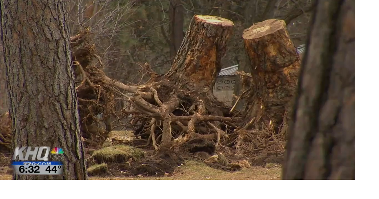 360 Coverage Windstorm cleanup continues at Comstock Park News