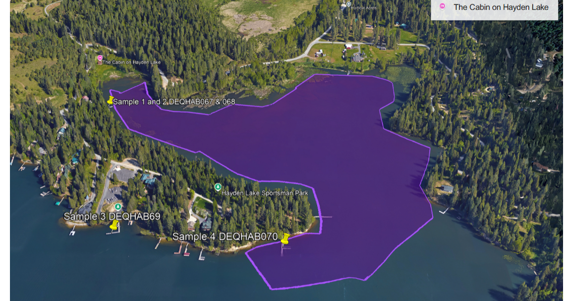 Health advisory issued for upper Hayden Lake due to harmful algal bloom