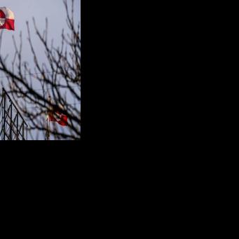 Several European countries have backed Greenland and Denmark over Trump's claims to the territory