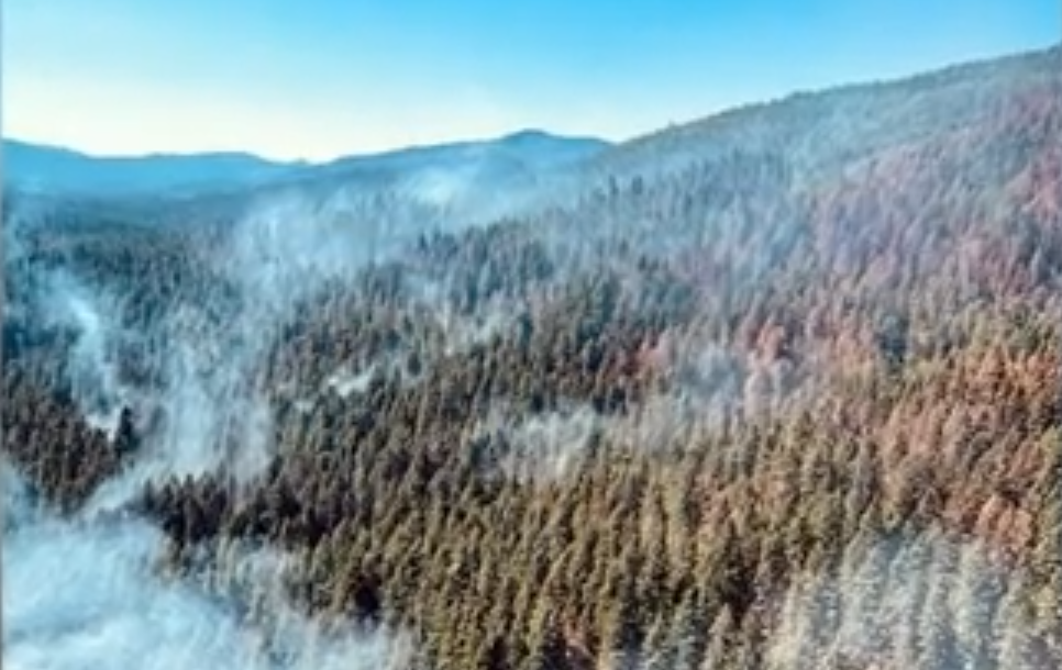 After 1 Month, Lightning-caused Consalus Fire Now 50% Contained ...