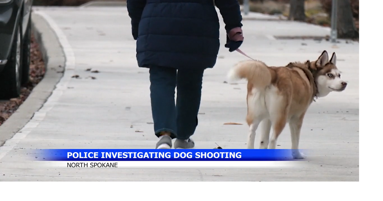Dog shot and killed near Spokane school leaves community concerned