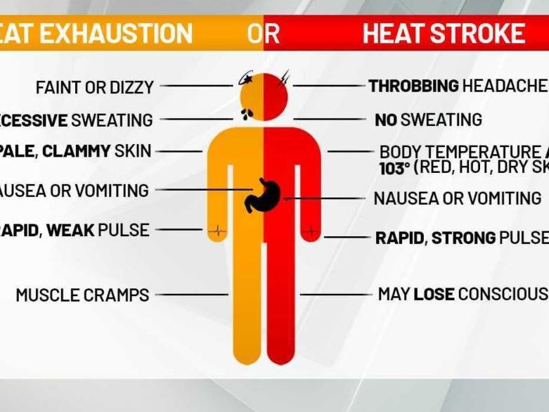 Heat Exhaustion vs Heat Stroke | | khq.com