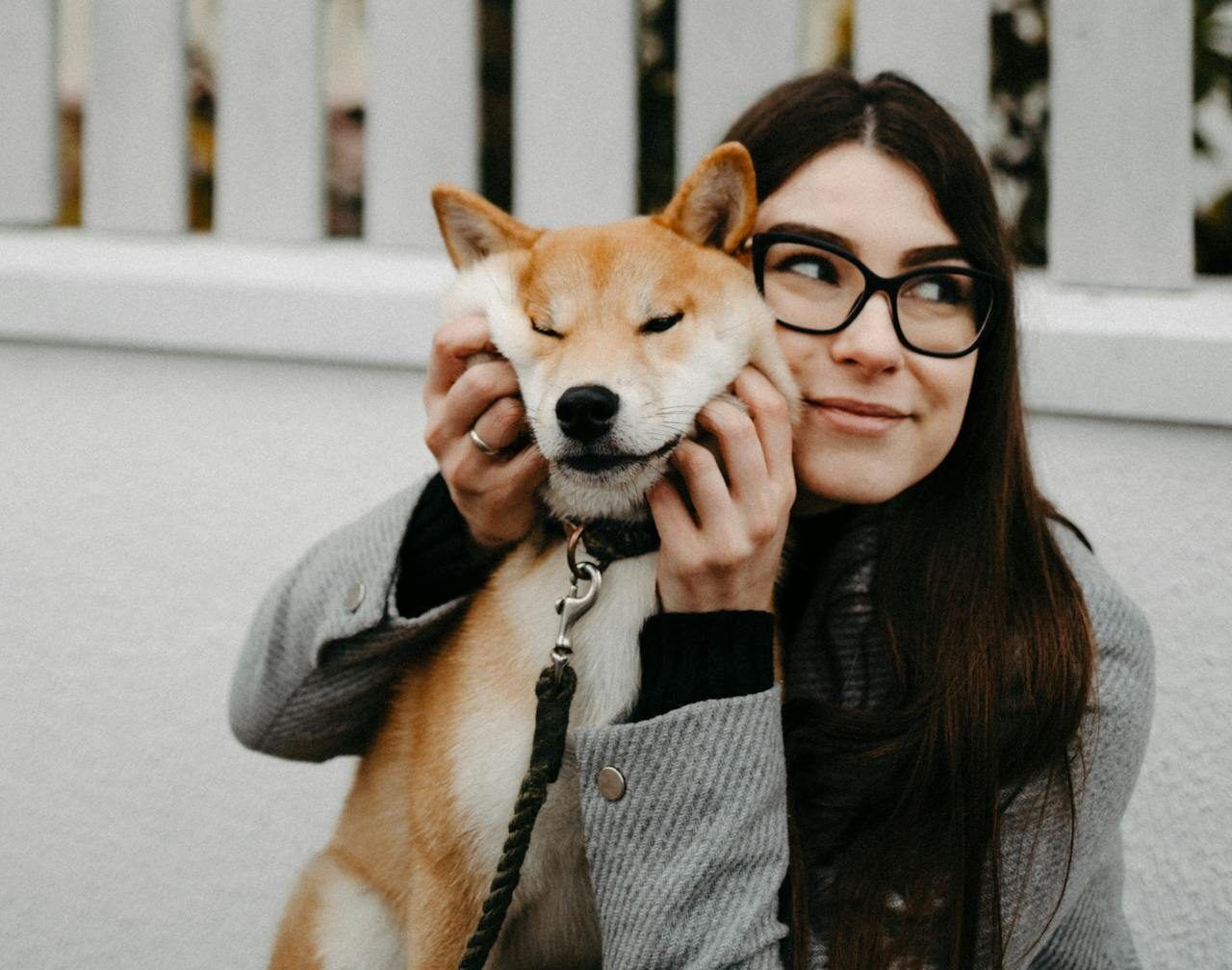 6 Simple Techniques For Free & Low-cost Vet Care For Seniors (2026 Guide) - Pawlicy Advisor thumbnail