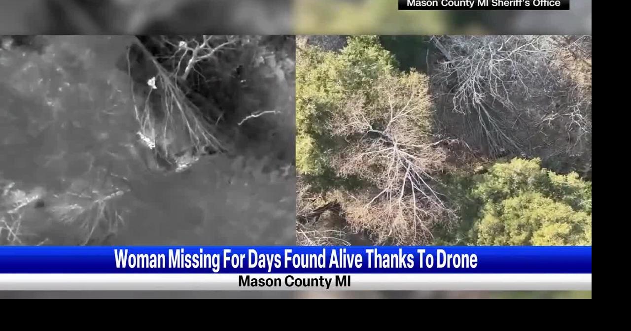 74-year-old missing woman found alive in Michigan woods | National ...