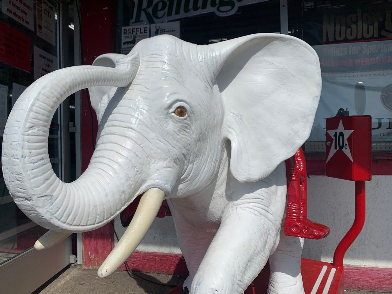 White Elephant's iconic elephant ride to find new home in