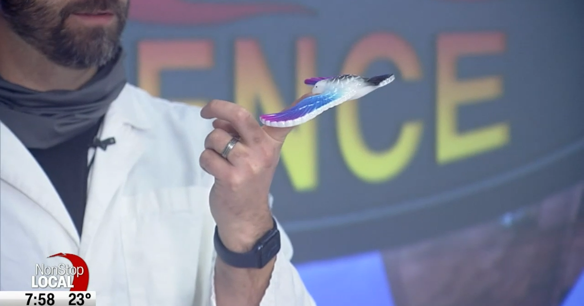 Extreme Science: Attempting to 'defy' gravity | Extreme Science | khq.com