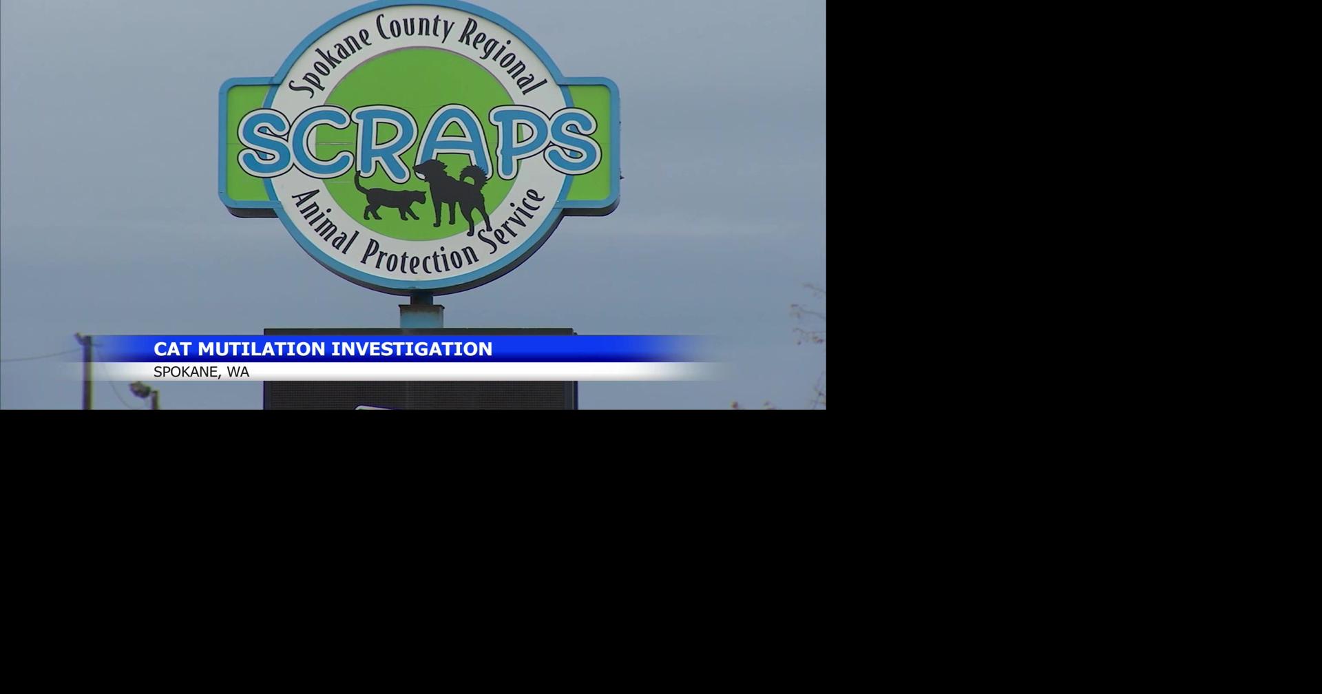 Mutilated cats found at Rockwood Vista Reservoir raises concern ...