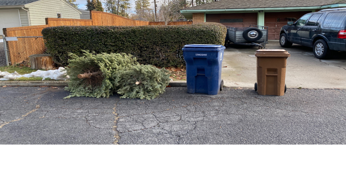 City of Spokane offers free curbside Christmas tree pickup! Spokane