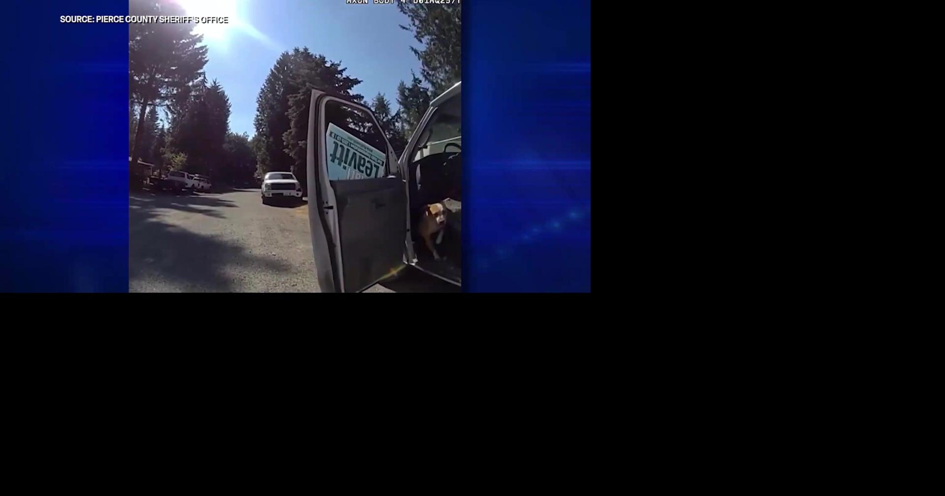 7 dogs recued from hot van in Pierce County | Spokane News | khq.com