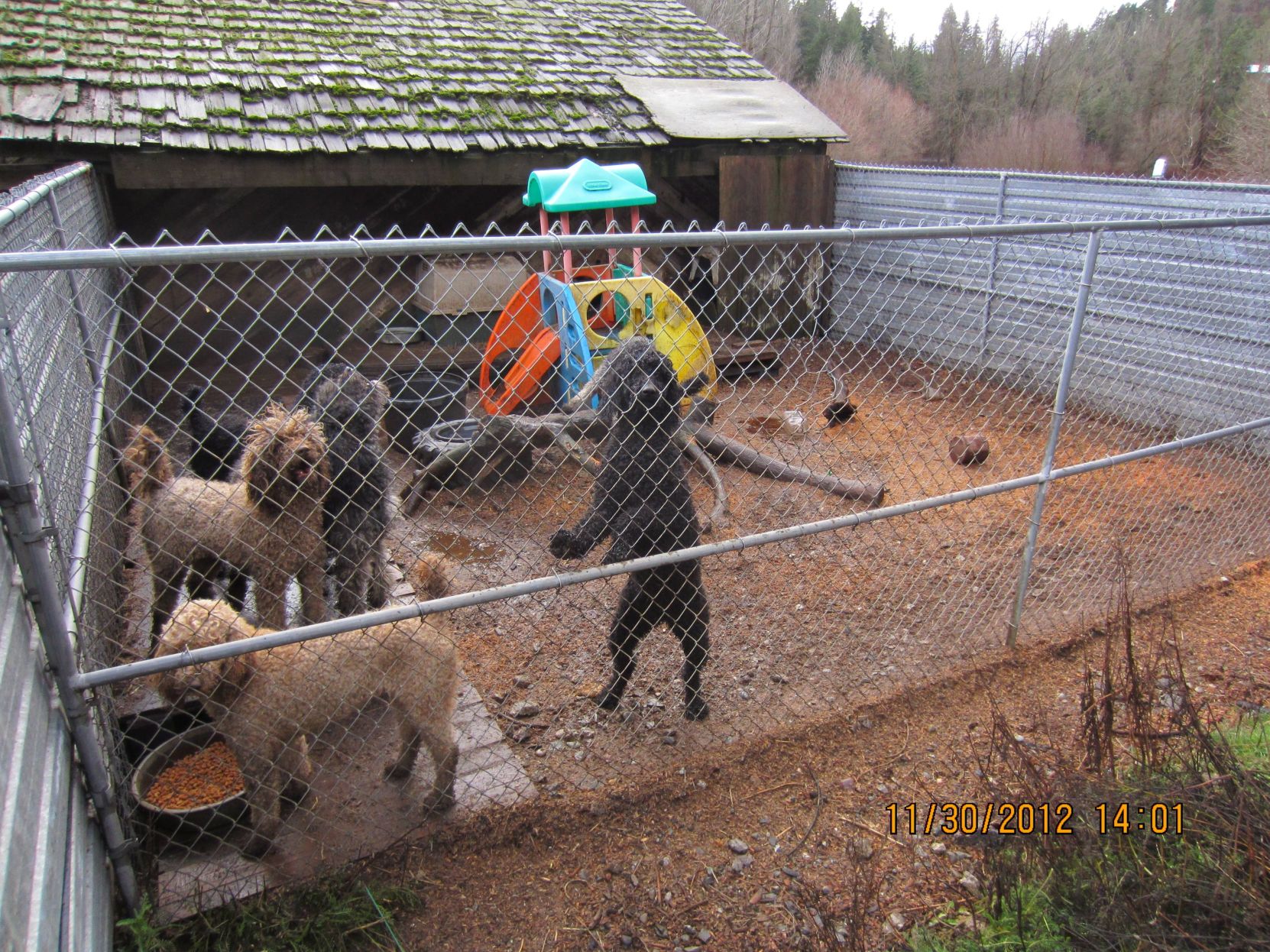 Iron store horse kennel