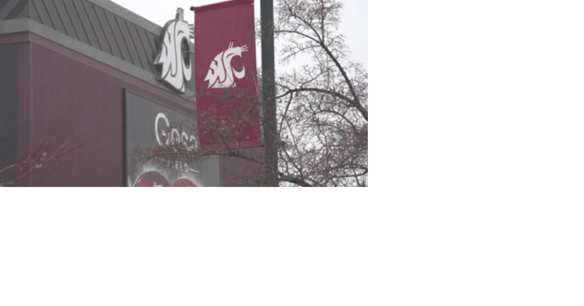 False active shooter report prompts police response at Washington State University