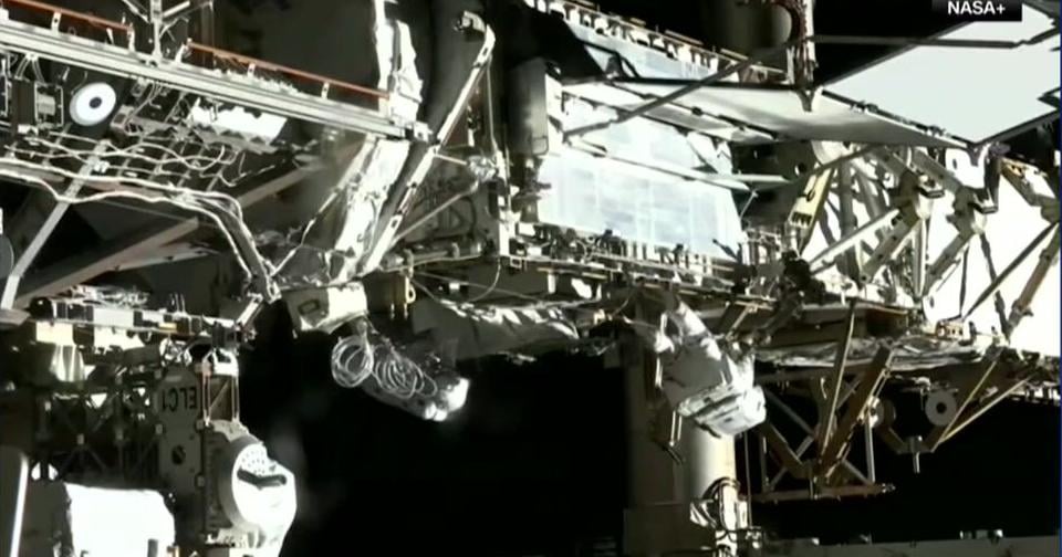 Washington State University researchers develop test to help track biological clocks