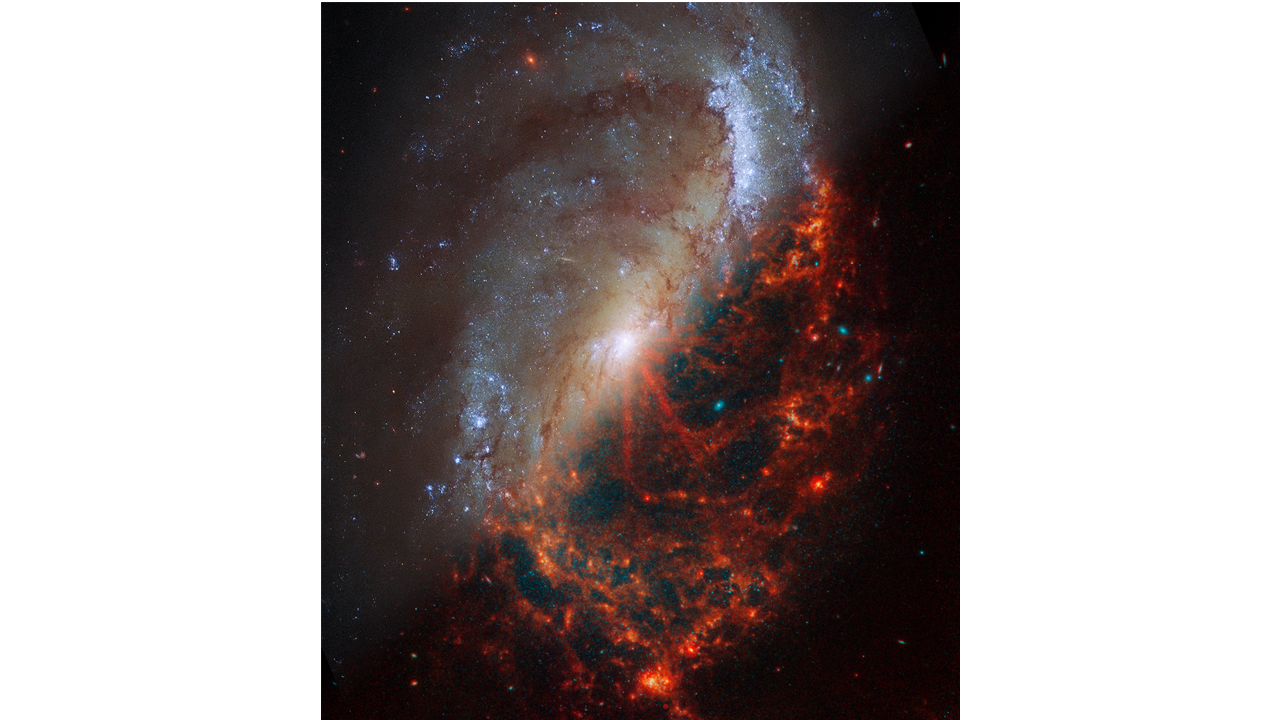 NASA’s Webb Depicts Staggering Structure In 19 Nearby Spiral Galaxies ...