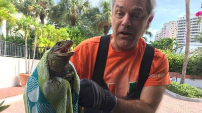Iguana In Toilet Nothing Florida Man Can T Handle News Khq Com Florida can't handle all this sudden winter thing (20 pics). iguana in toilet nothing florida man