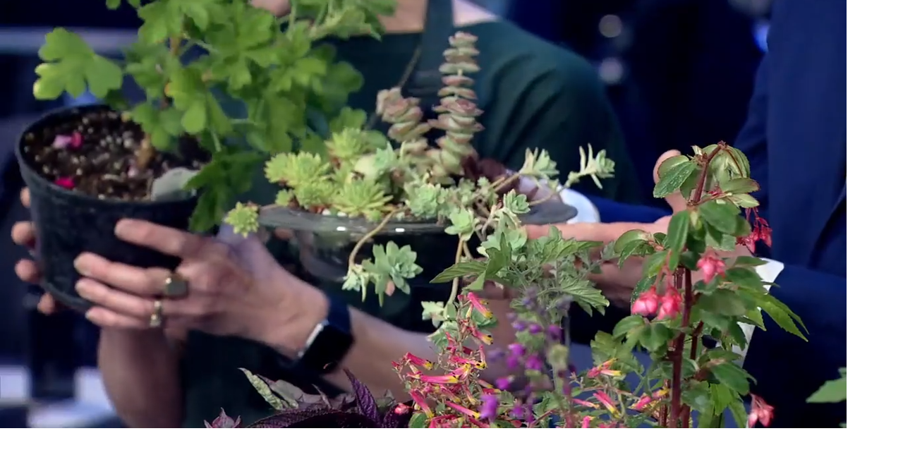 Small Business Spotlight: Spokane's New Beginnings plant nursey