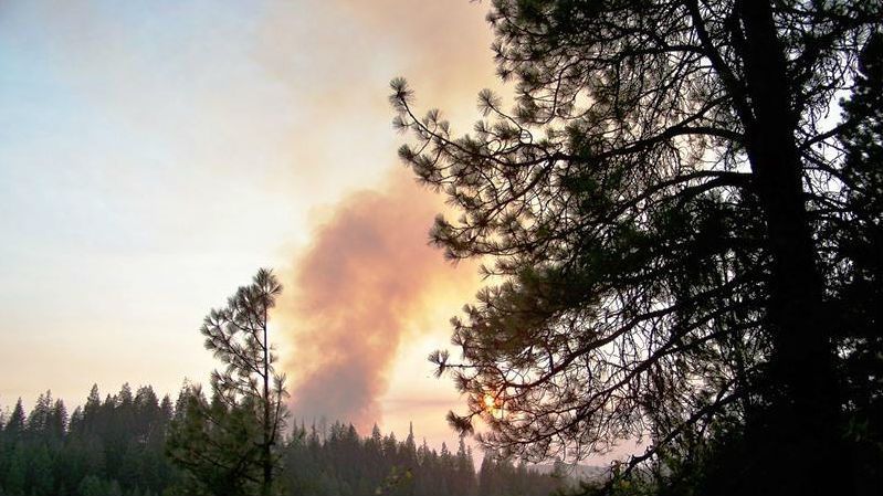 Crews fight 100-acre fire burning northwest of Northport in Stevens County  | News | khq.com