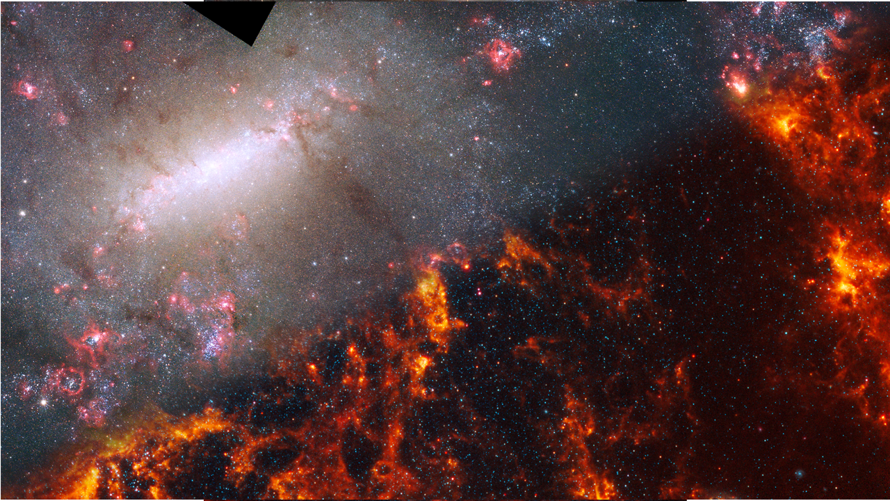 NASA’s Webb Depicts Staggering Structure In 19 Nearby Spiral Galaxies ...