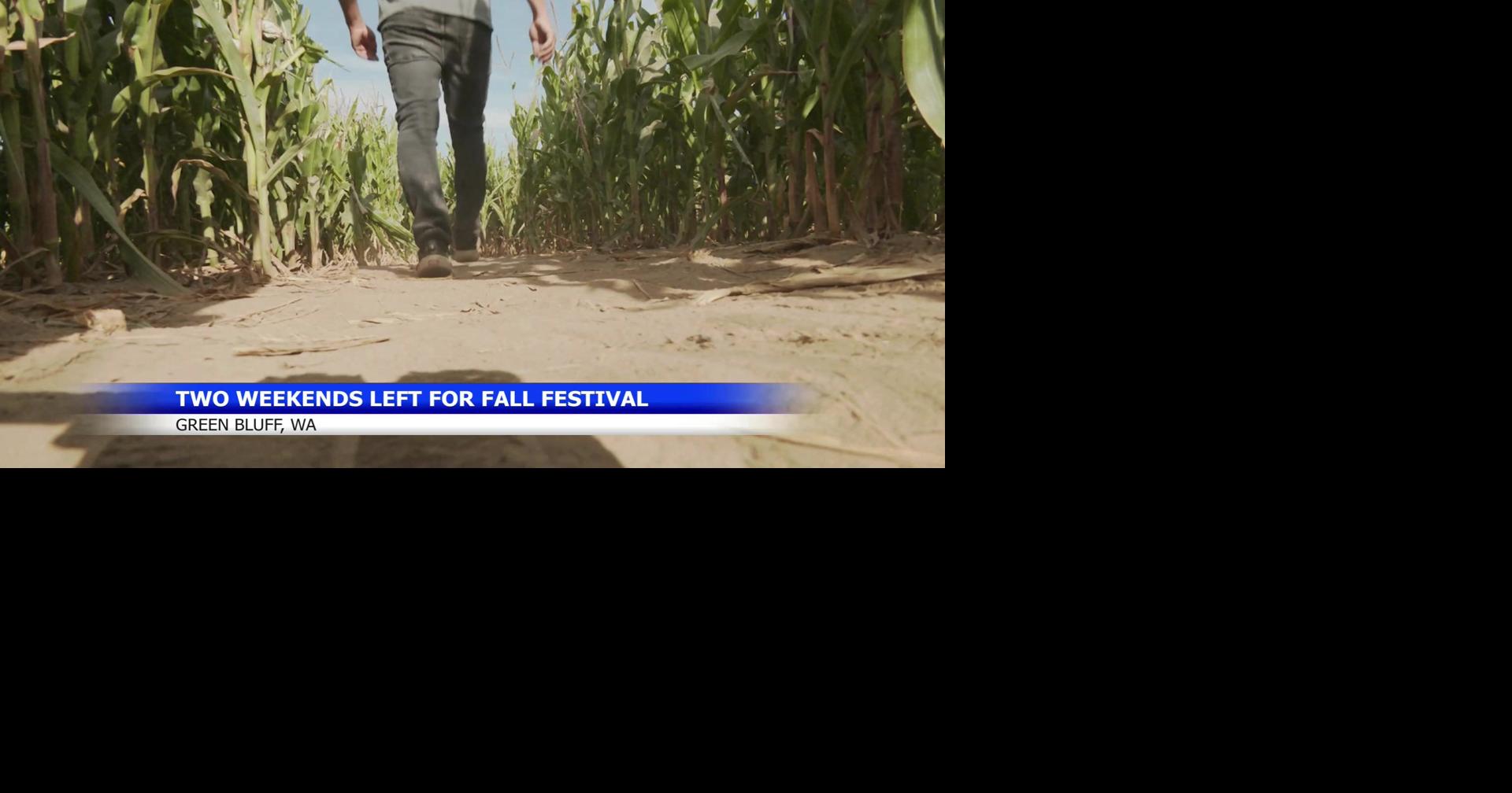 Two weeks left of Fall Festival at Green Bluff, but none bigger than this one Oct 22, 2026 29 mins ago