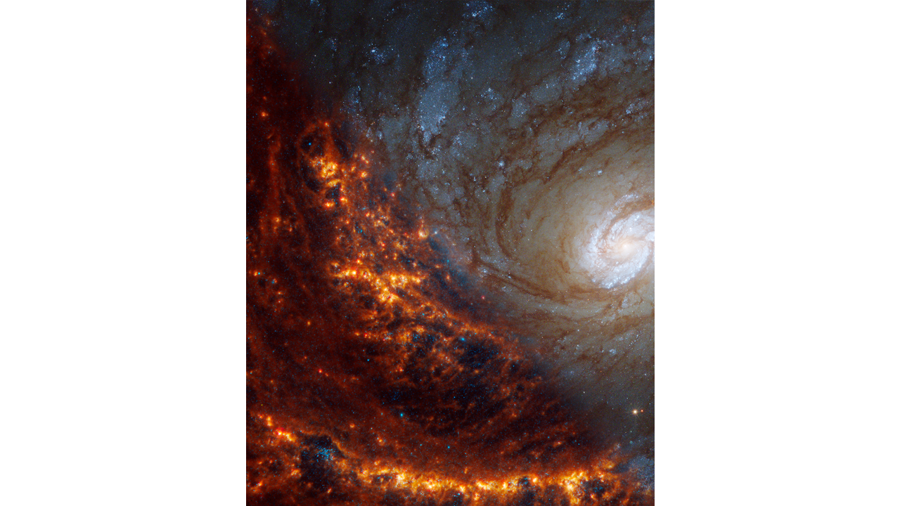 NASA’s Webb Depicts Staggering Structure In 19 Nearby Spiral Galaxies ...