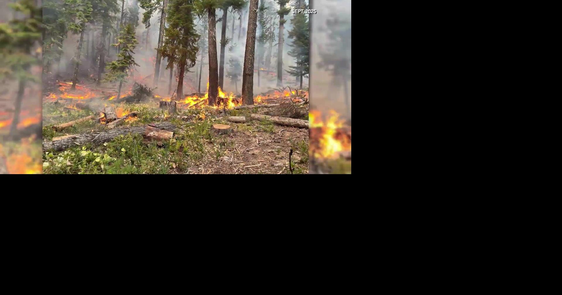 Scientists voice concerns about El Niño's impact on wildfire risk in Washington state