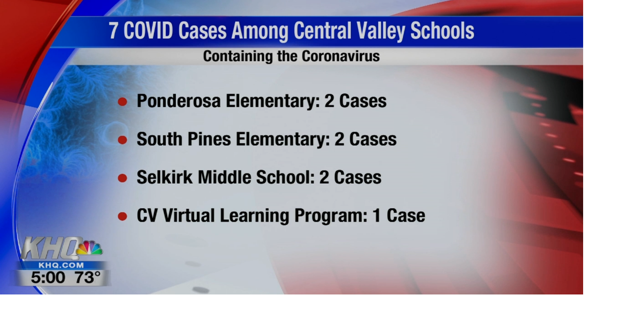 Despite virtual learning plan, Central Valley School District reporting