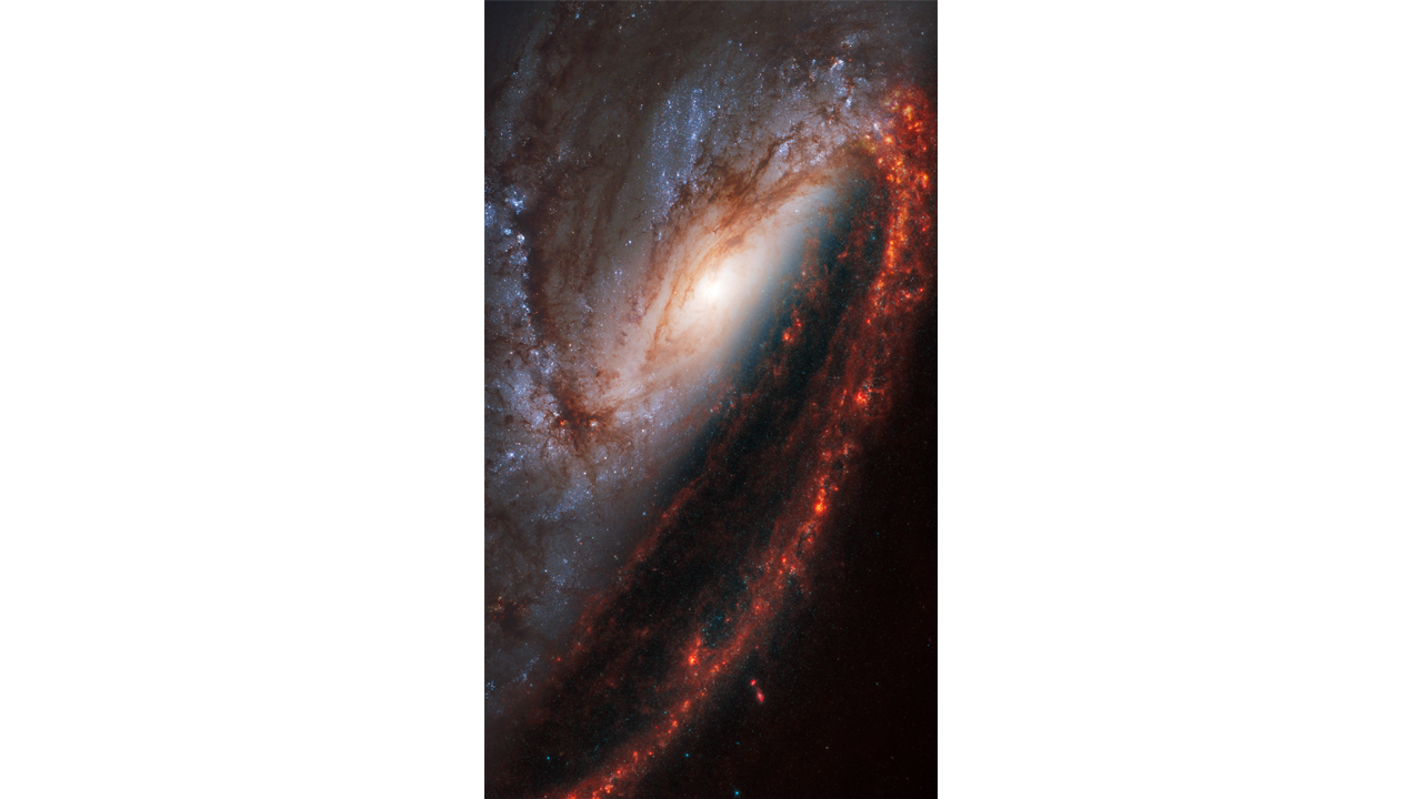 NASA’s Webb Depicts Staggering Structure In 19 Nearby Spiral Galaxies ...