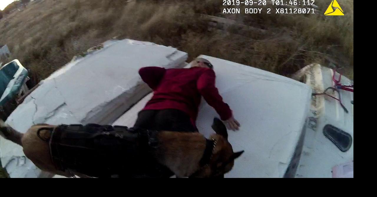 'Two-for-one special': Suspect attempts to run from Moses Lake PD K9 ...