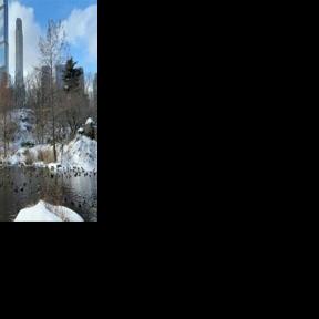 Snow blanketed New York after the historic winter storm