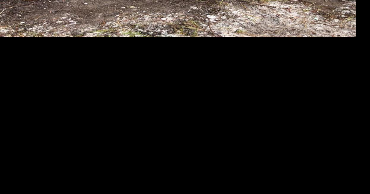 Highway 12 accident near Kooskia leads to airlift of two injured