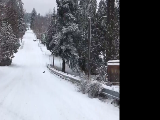 Slippery Spokane Snowy Conditions Create For Difficult Driving Conditions News Khq Com