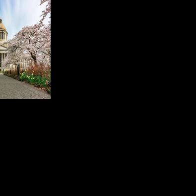 Washington State legislative session to consider parental rights and transgender sports initiatives